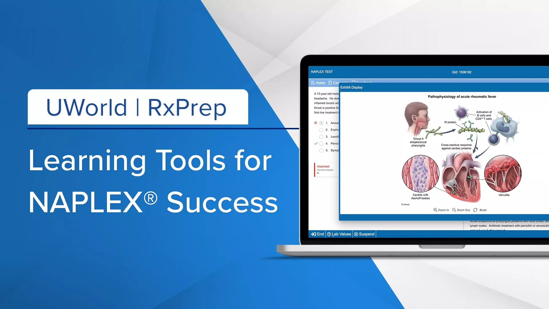 Image showing UWorld RxPrep’s learning tools for NAPLEX success